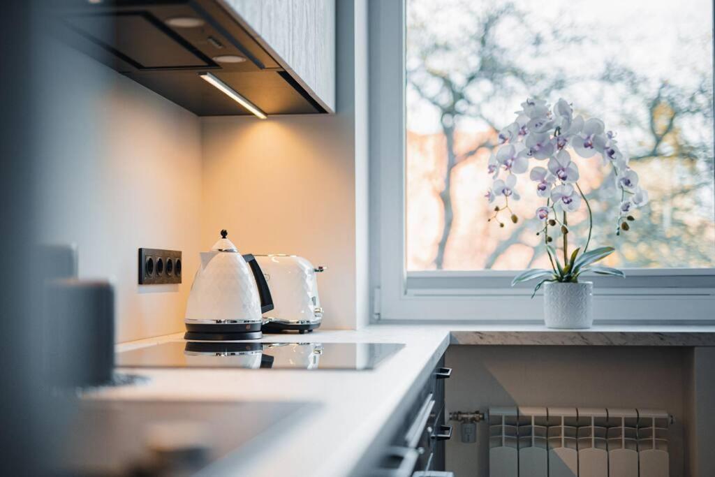 New Luxury 3Br Apartment In Old Town, Free Parking Haapsalu Eksteriør billede