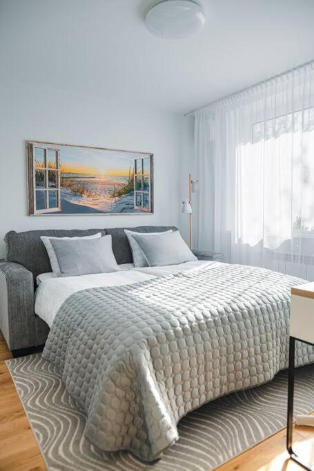 New Luxury 3Br Apartment In Old Town, Free Parking Haapsalu Eksteriør billede